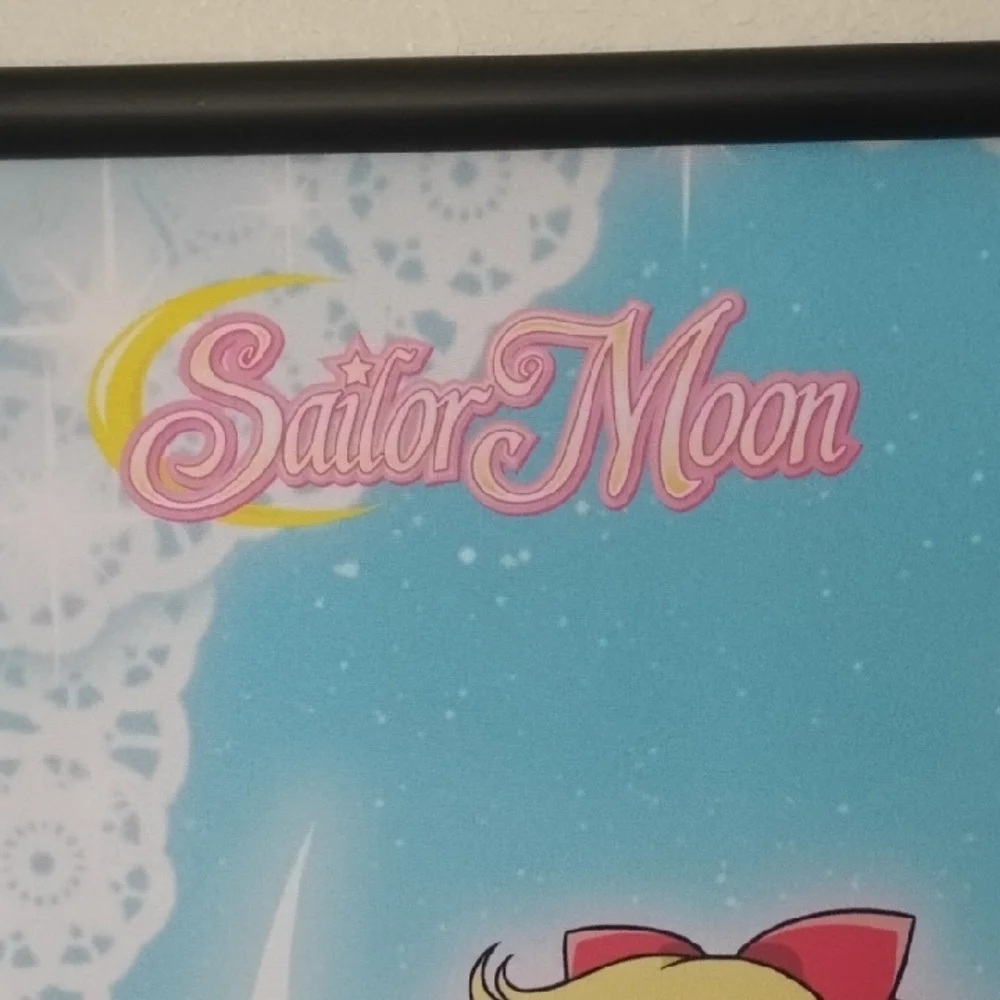 Anime Moon Warriors Wall Tapestry